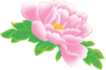 RR (142) (151x100, 23Kb)